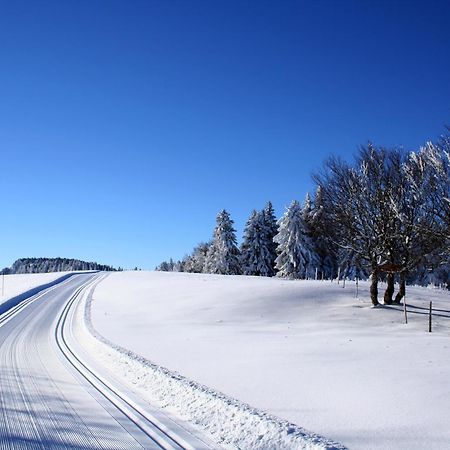 Logis Le Vernay Autrans-Meaudre-en-Vercors Luaran gambar